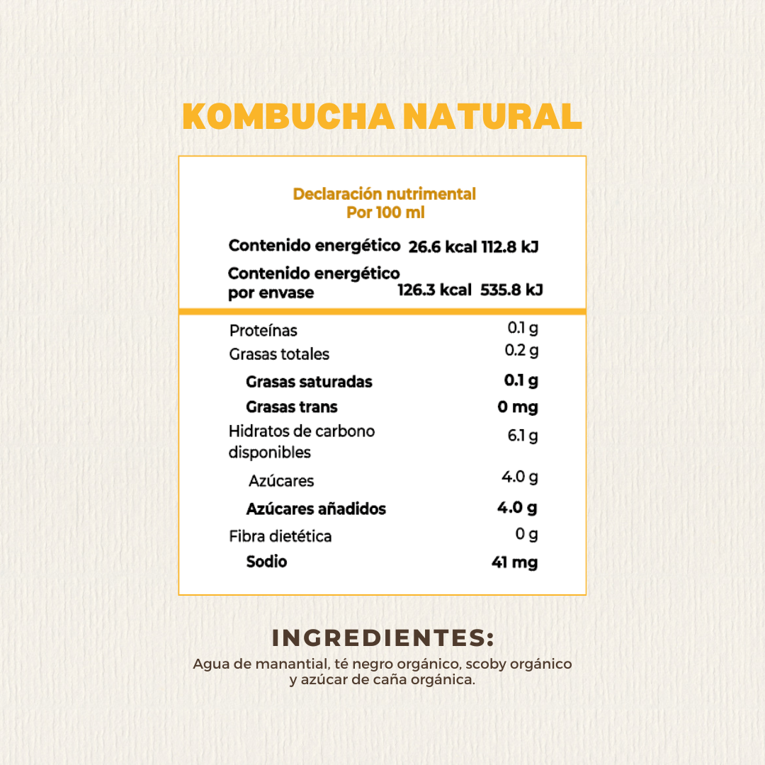 Tera Kombucha Sabor Natural 280 ml (Refrigerado) l Tera