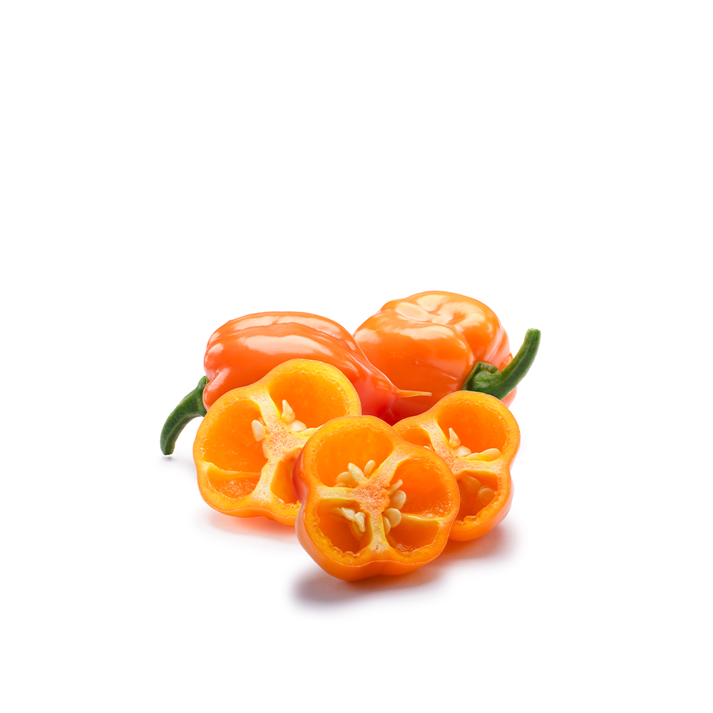 Chile Habanero | Huerto