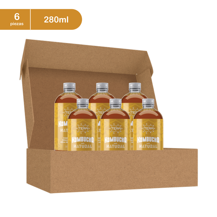 Tera Kombucha Sabor Natural 280 ml (Refrigerado) l Tera